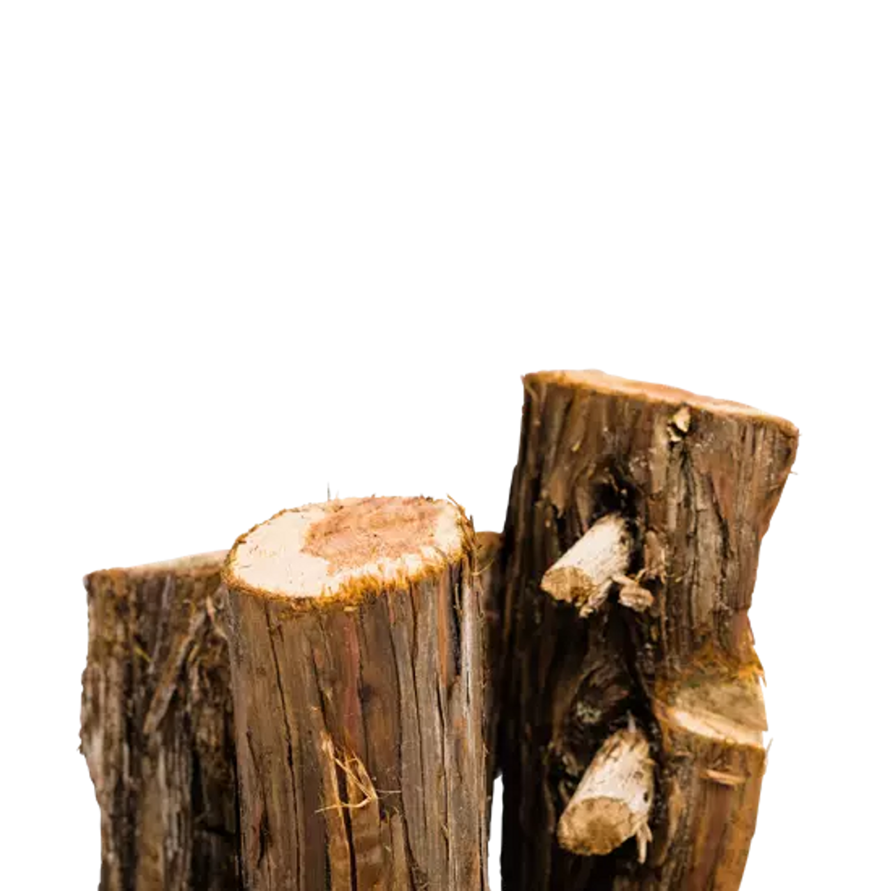 Solo Stove Wood (Juniper) WD-JUNPR-9