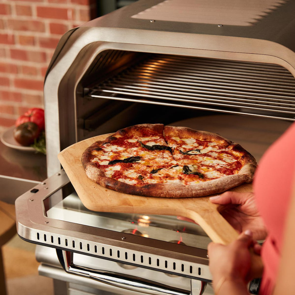 Blaze 26-Inch Built-In Natural Gas Outdoor Oven W/ Rotisserie - BLZ-26-PZOVN-NG